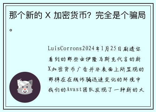 那个新的 X 加密货币？完全是个骗局。
